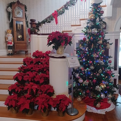 Seelye Christmas 2024-Staircase