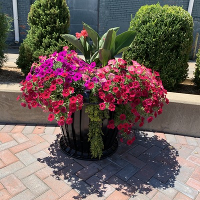 Little Ike Park Pots