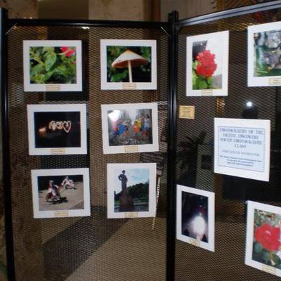 Annual photo contest