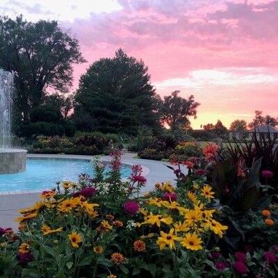 Sunset At the Park